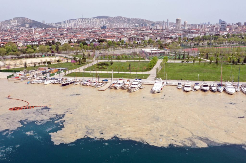 An aerial view shows a thick layer of "sea snot", Bostanci harbor, Istanbul, Turkey