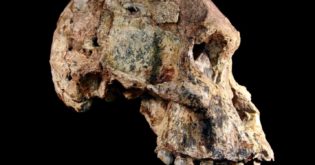 New Research Pushes Back the Age of Ancient Hominin Fossils by a Million Years