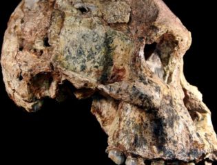 New Research Pushes Back the Age of Ancient Hominin Fossils by a Million Years