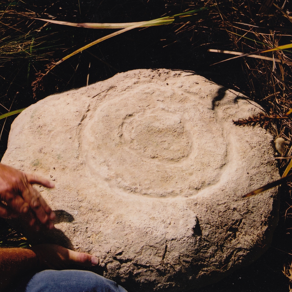 The Most Bizarre Beach Finds That Left People Scratching Their Heads