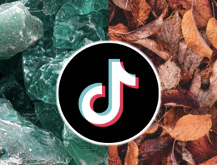 TikTok’s Latest Trend ‘If I Was a…’ Has Taken Over the Platform