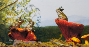 Endangered Frogs See ‘Population Explosion’ After 422 Ponds Were Built in Switzerland