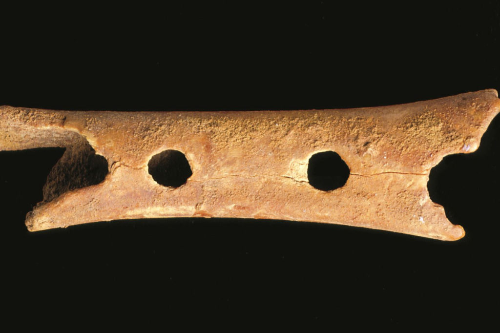 Костяная флейта неандертальцев. Флейта из Дивье бабе в Словении. Древние флейты из костей. Самая древняя флейта. Мы видим в костяных коньках найденных археологами