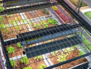 Vacant Office Near D.C. Turns Into Indoor Farm – Using Empty Buildings to Grow Food